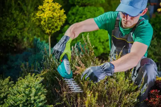 landscaping services Marion Center